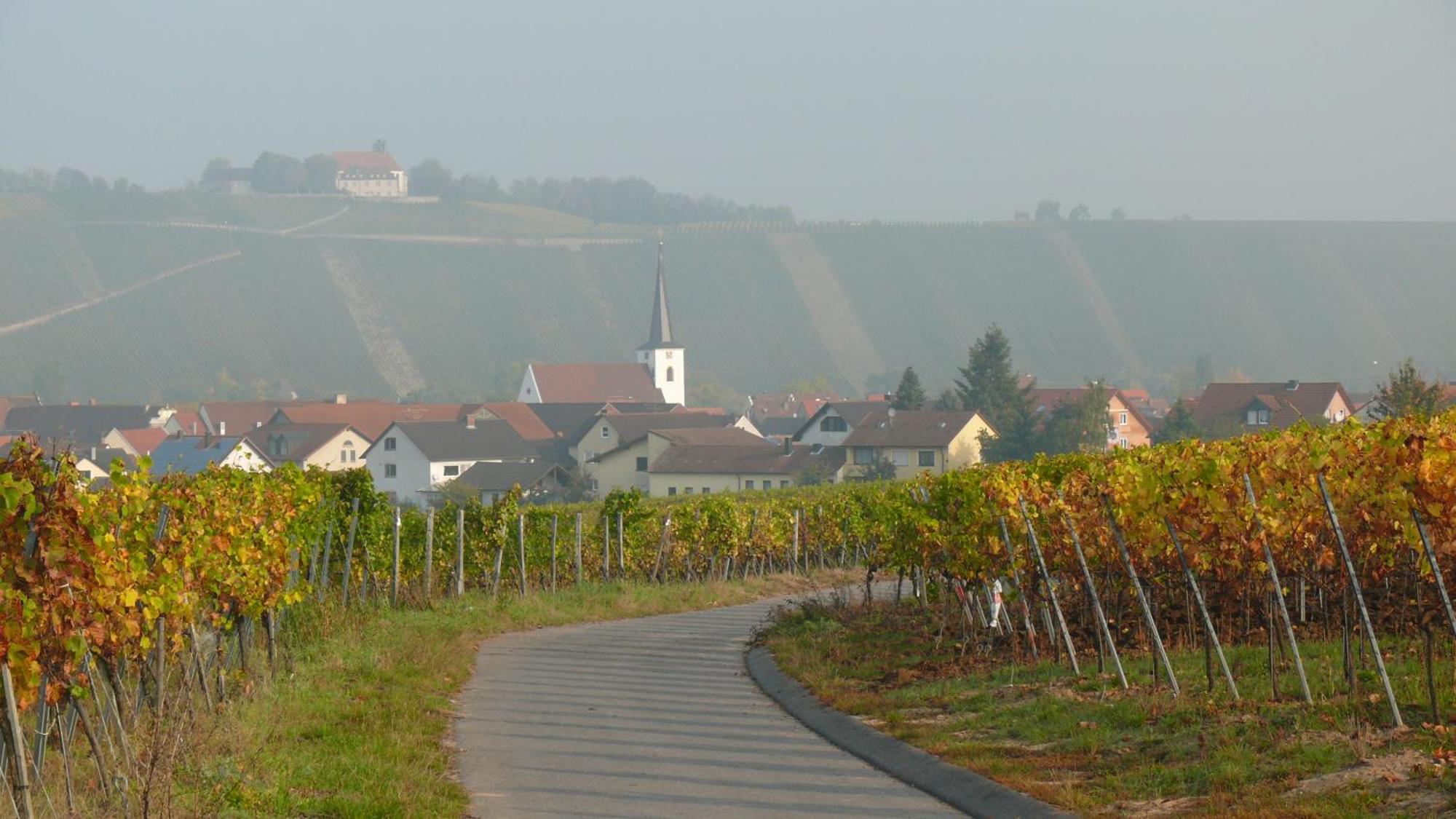 Weingut Herbert Kram Nordheim am Main Exteriér fotografie