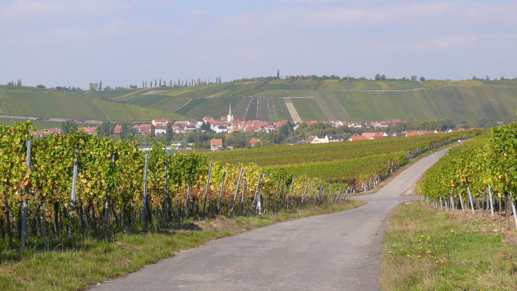 Weingut Herbert Kram Nordheim am Main Exteriér fotografie