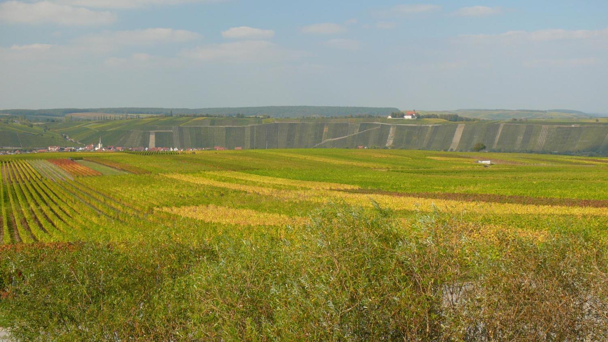 Weingut Herbert Kram Nordheim am Main Exteriér fotografie